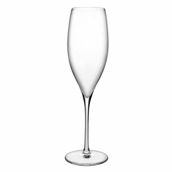 Nudeglass Terroir Şampanya Kadehi
