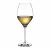 Nudeglass Vinifera Çok Amaçlı Kadeh