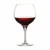 Nudeglass Primeur Bordo Şarap Kadehi