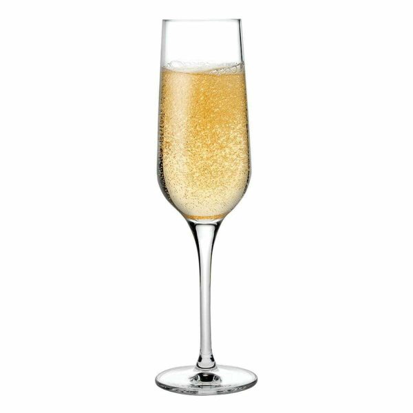Nudeglass Refined Champagne Glass