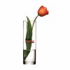 Paşabahçe Vazo Botanica 26,5cm