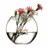 Paşabahçe Vazo Botanica 16cm