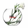 Paşabahçe Cam Vazo Botanica 20cm
